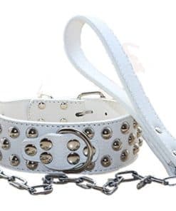 Conjunto de Collar de Perro de Cuero Tachonado de 2