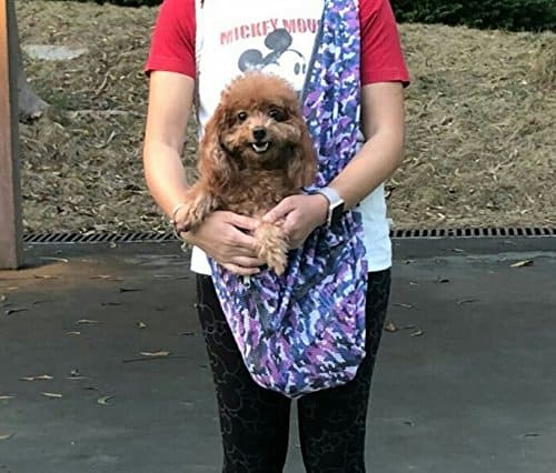 Bolso Bandolera Plegable de Malla con Estampado de - Imagen 7