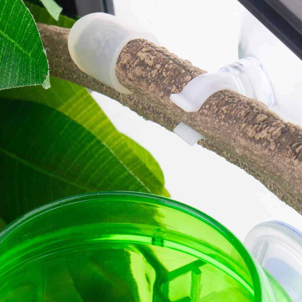 EONMIR 8 pies Reptile Vines, Flexible Jungle Climber Long - Imagen 8