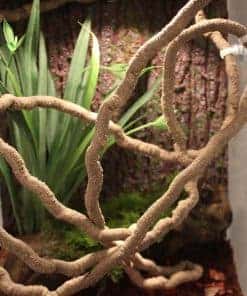 EONMIR 8 pies Reptile Vines, Flexible Jungle Climber Long