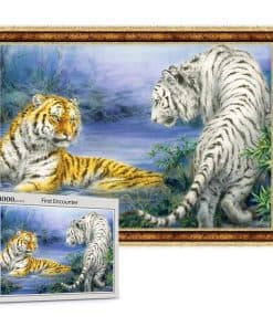 Rompecabezas de 1000 piezas Puzzlelife Primer Encuentro