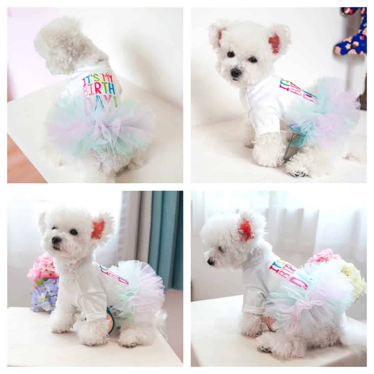 Vestido de Tutú de Cumpleaños para Perros Pequeños Niña + - Imagen 4