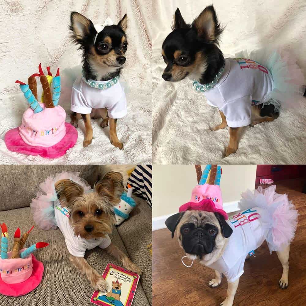 Vestido de Tutú de Cumpleaños para Perros Pequeños Niña + - Imagen 6