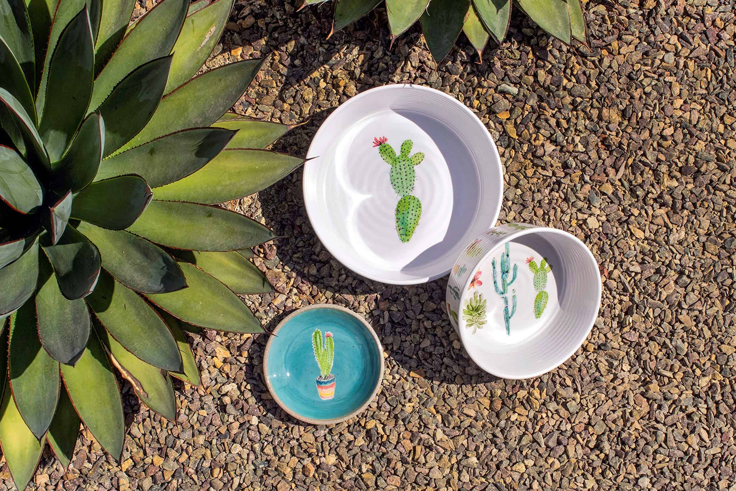 TarHong Tazón para Mascotas Cactus, Melamina Pura, Mediano, - Imagen 3