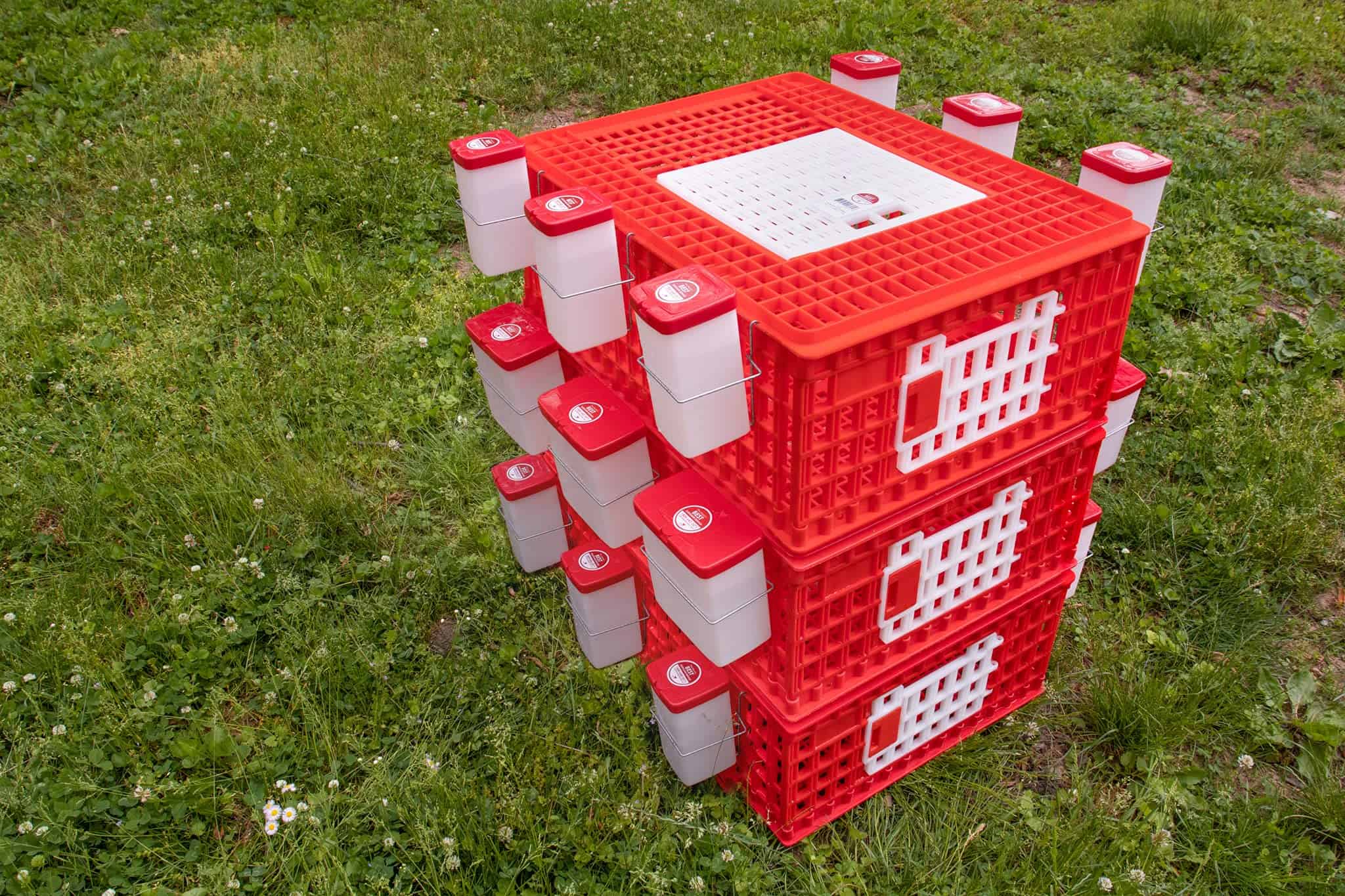 Transportador de Aves RentACoop (Paquete de 1) 29" L x 22" - Imagen 3