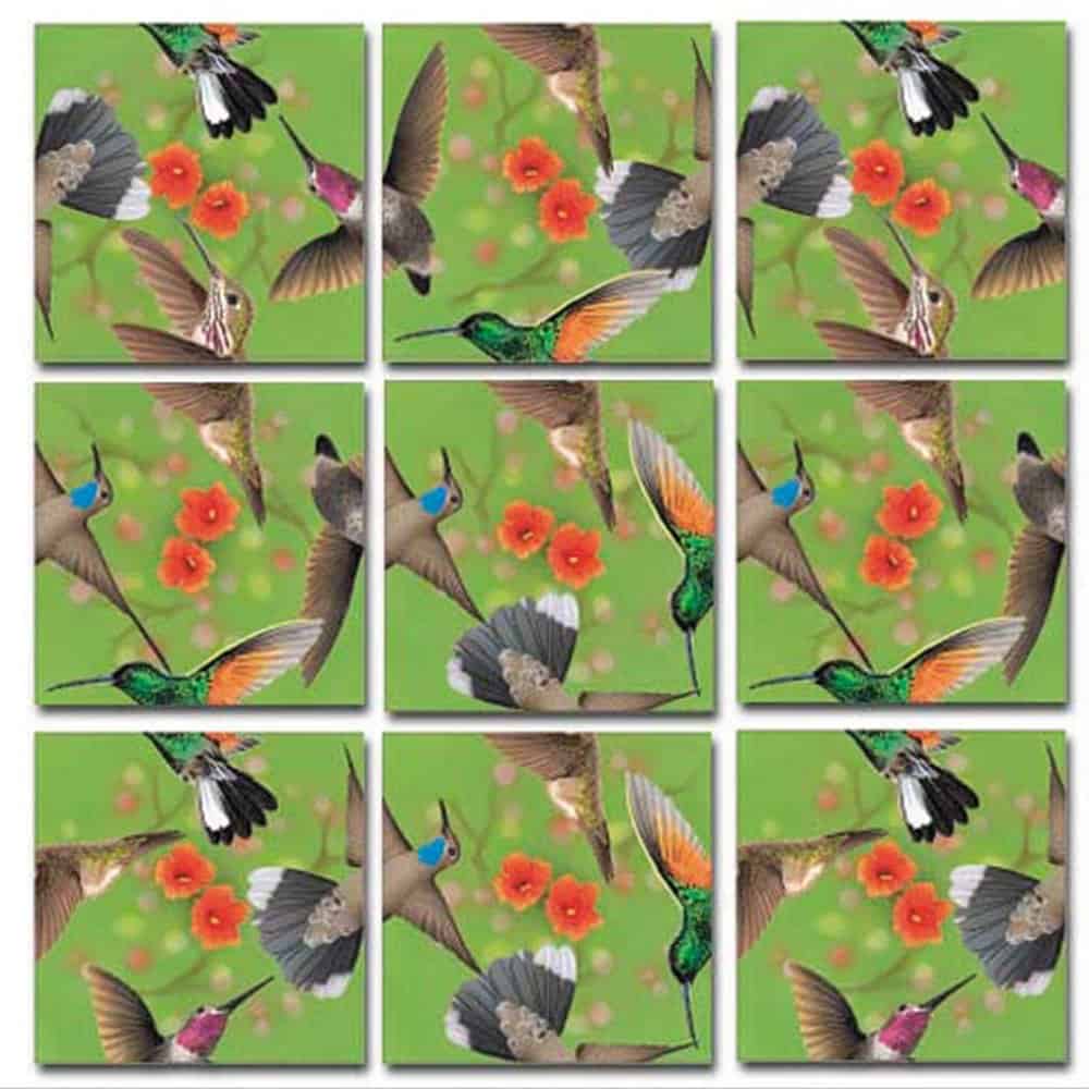 Paquete de Rompecabezas Scramble Squares B Dazzle Birds - Imagen 4
