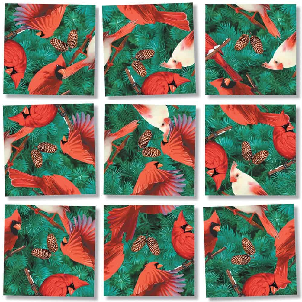 Paquete de Rompecabezas Scramble Squares B Dazzle Birds - Imagen 5