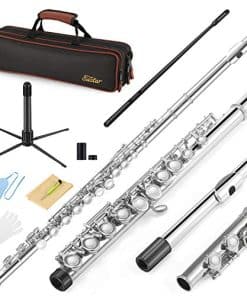 Flauta C Eastar de 16 Llaves Agujeros Cerrados para