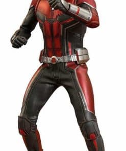 Hot Toys Ant-Man - Figura de colección Sixth Scale