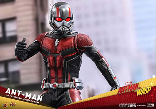Hot Toys Ant-Man - Figura de colección Sixth Scale - Imagen 9