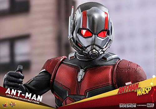 Hot Toys Ant-Man - Figura de colección Sixth Scale - Imagen 10