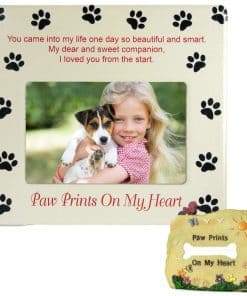 Conjunto de Marco y Roca conmemorativo de mascotas de