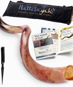 Shofar Kudu Original Kosher HalleluYAH Totalmente Pulido