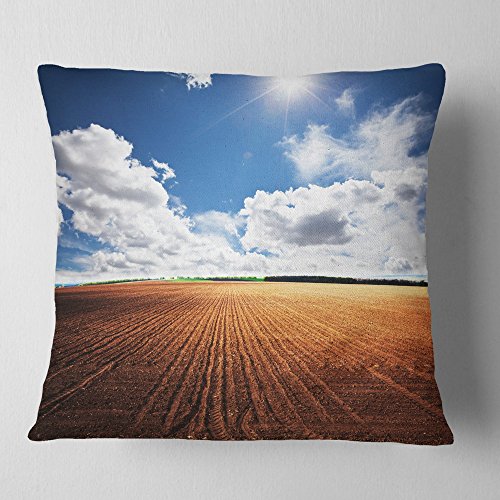 Almohada de decoración de campo expansivo bajo nubes