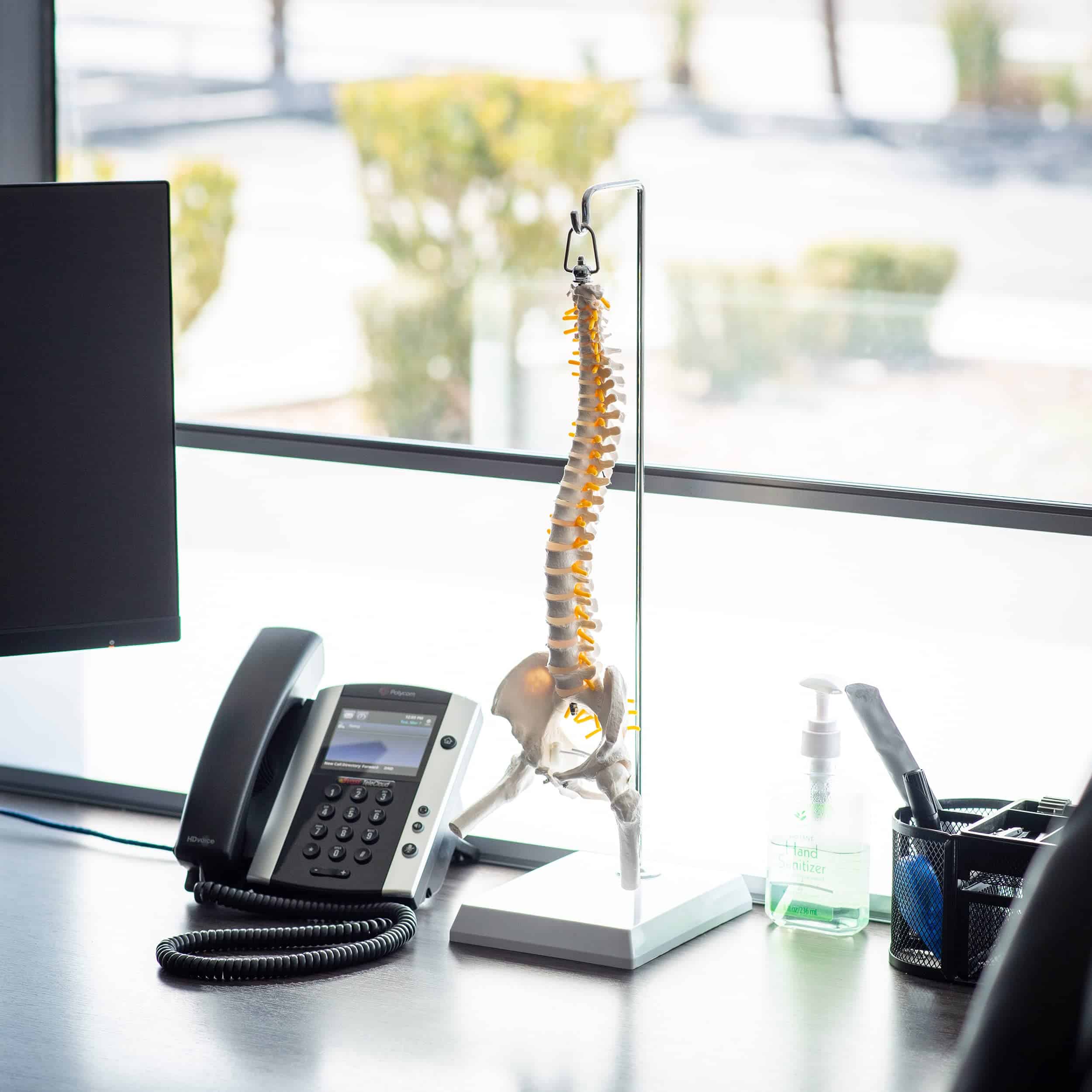 Modelo de Columna Vertebral en Miniatura MonMed con Nervios - Imagen 7