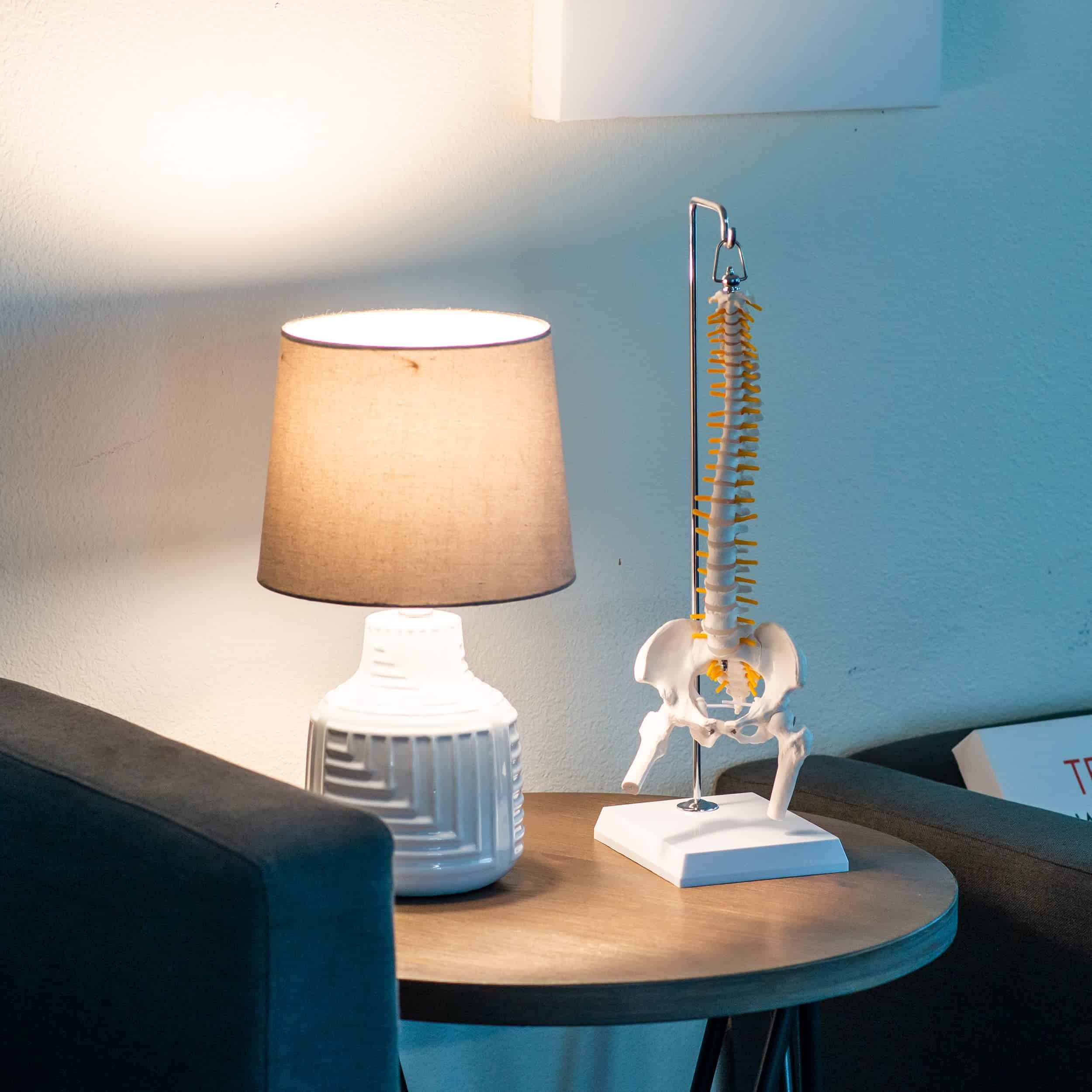 Modelo de Columna Vertebral en Miniatura MonMed con Nervios - Imagen 6