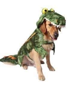 Disfraz para Perro Grande de Cocodrilo para Halloween