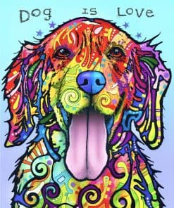 Rompecabezas Pintoo de 2000 Piezas para Adultos - Dean