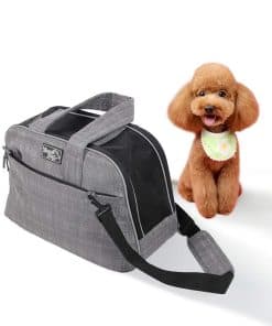 Mochila Transportadora para Perros All For Paws y Gatos