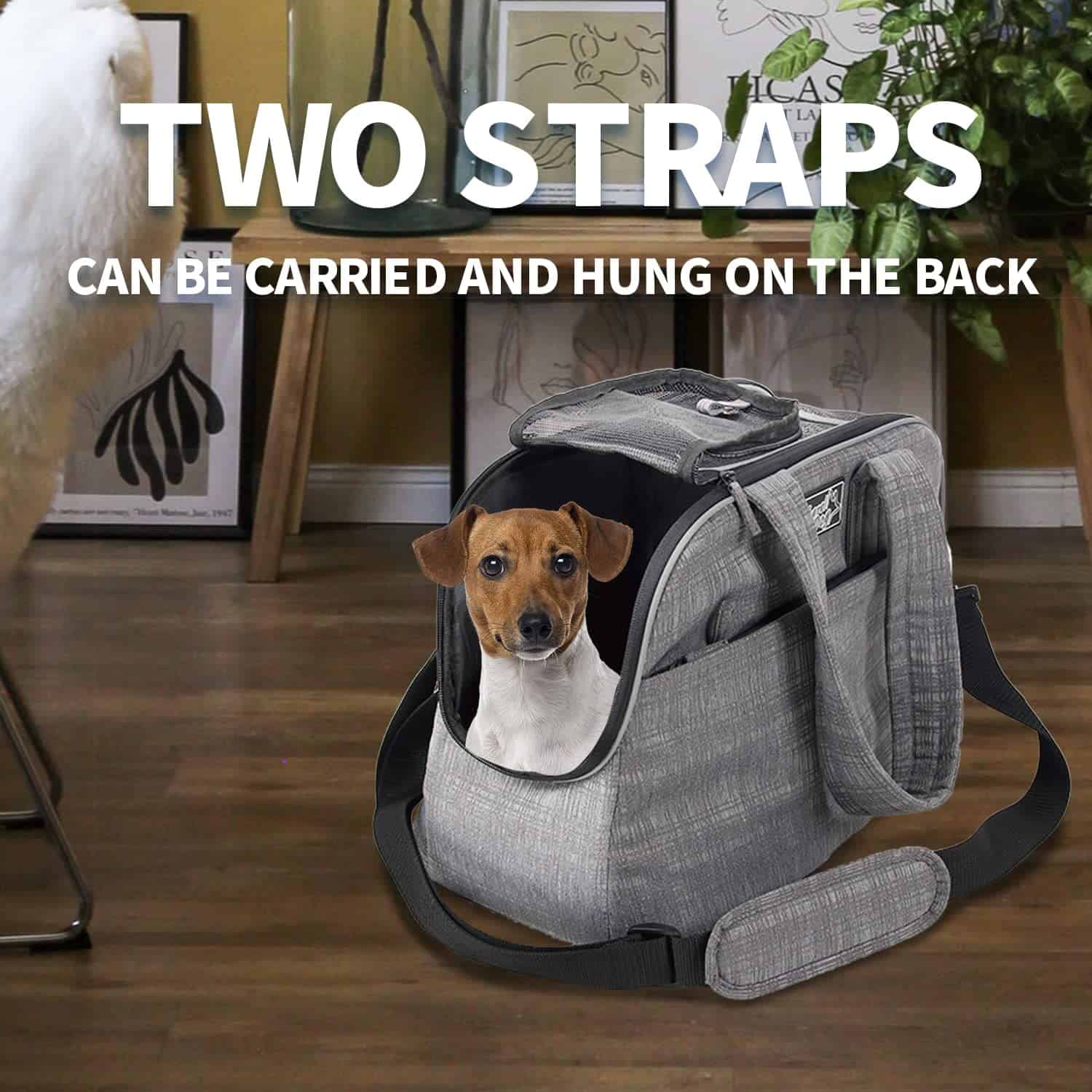 Mochila Transportadora para Perros All For Paws y Gatos - Imagen 8