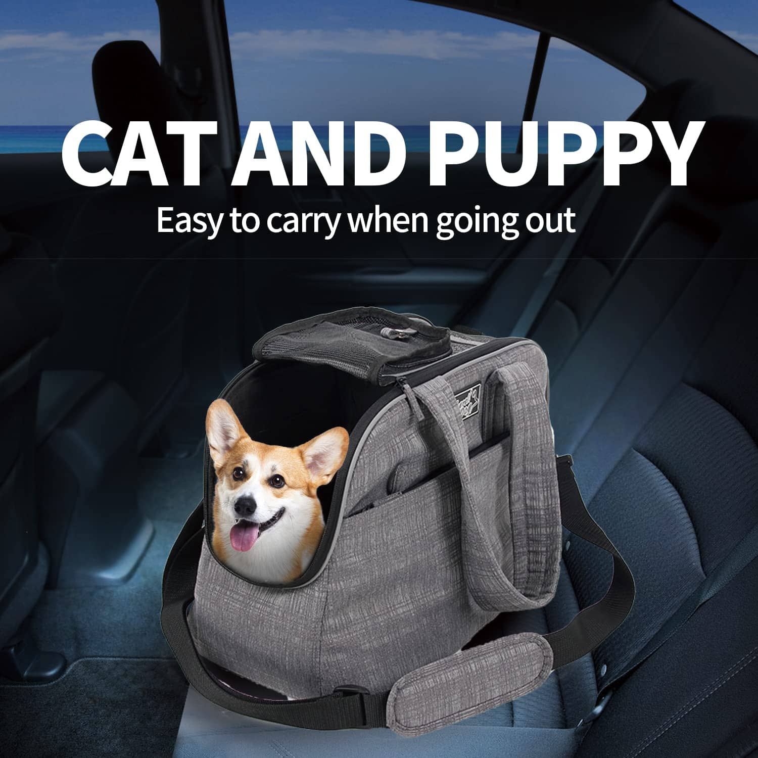 Mochila Transportadora para Perros All For Paws y Gatos - Imagen 9