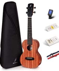 Ukulele Concierto de 23 pulgadas en Patrón de Caoba EUC-X1M