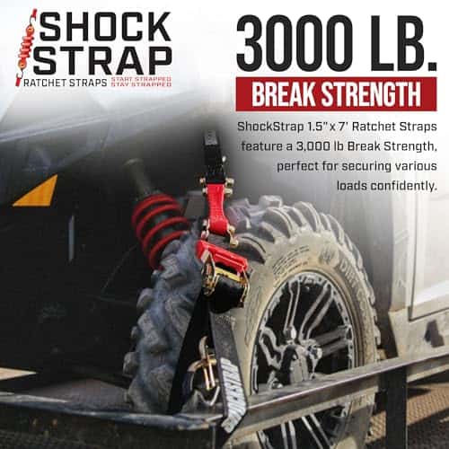 SHOCKSTRAP 7RSBK4PKP Amarre con Trinquete y Absorbedor de - Imagen 9