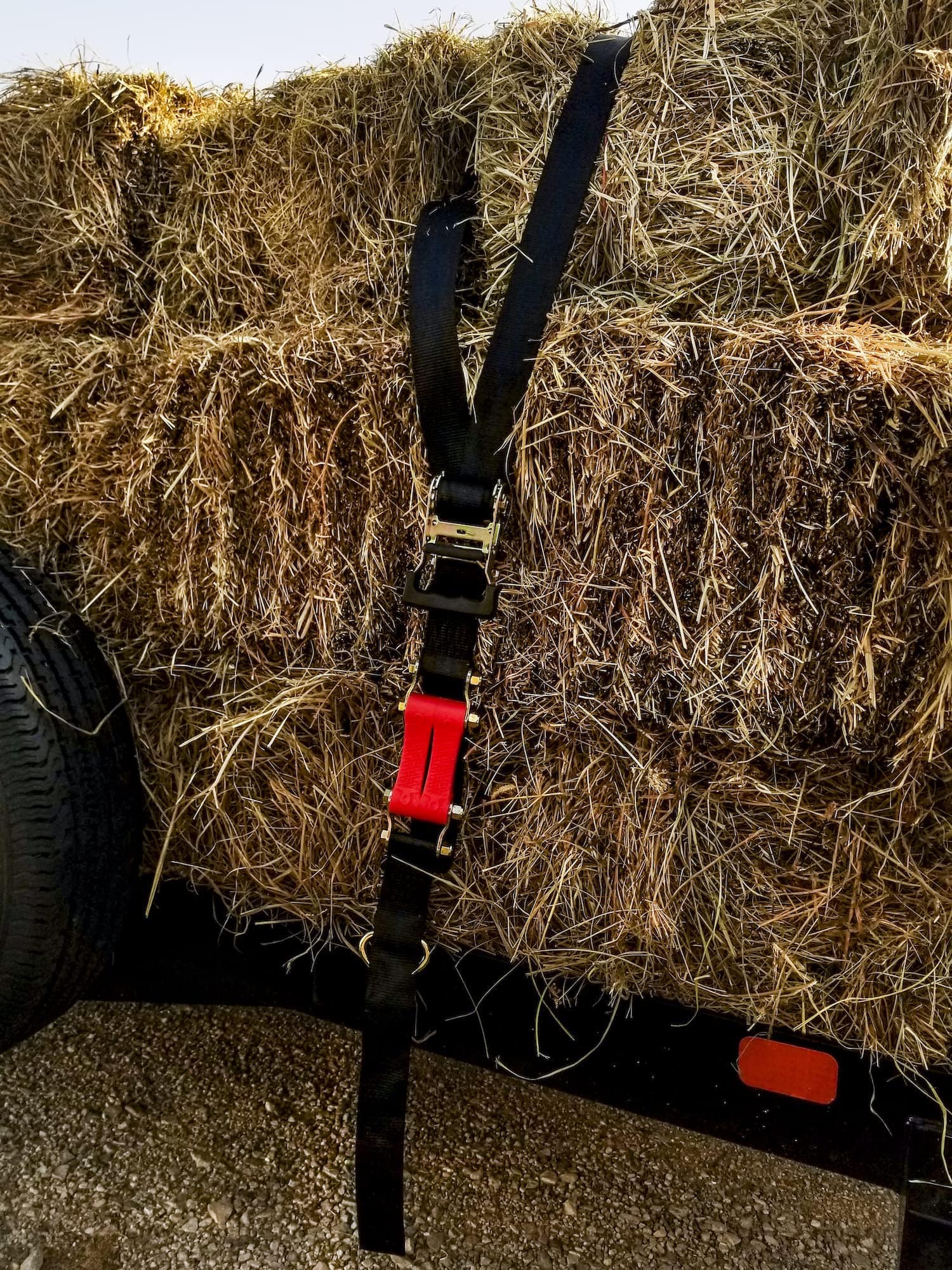 Sujetadores de Correa de Trinquete Pesado SHOCKSTRAP 2" X - Imagen 4