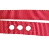 Correa de Repuesto para Collar de Perro - 1" Nylon
