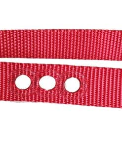 Correa de Repuesto para Collar de Perro - 1" Nylon