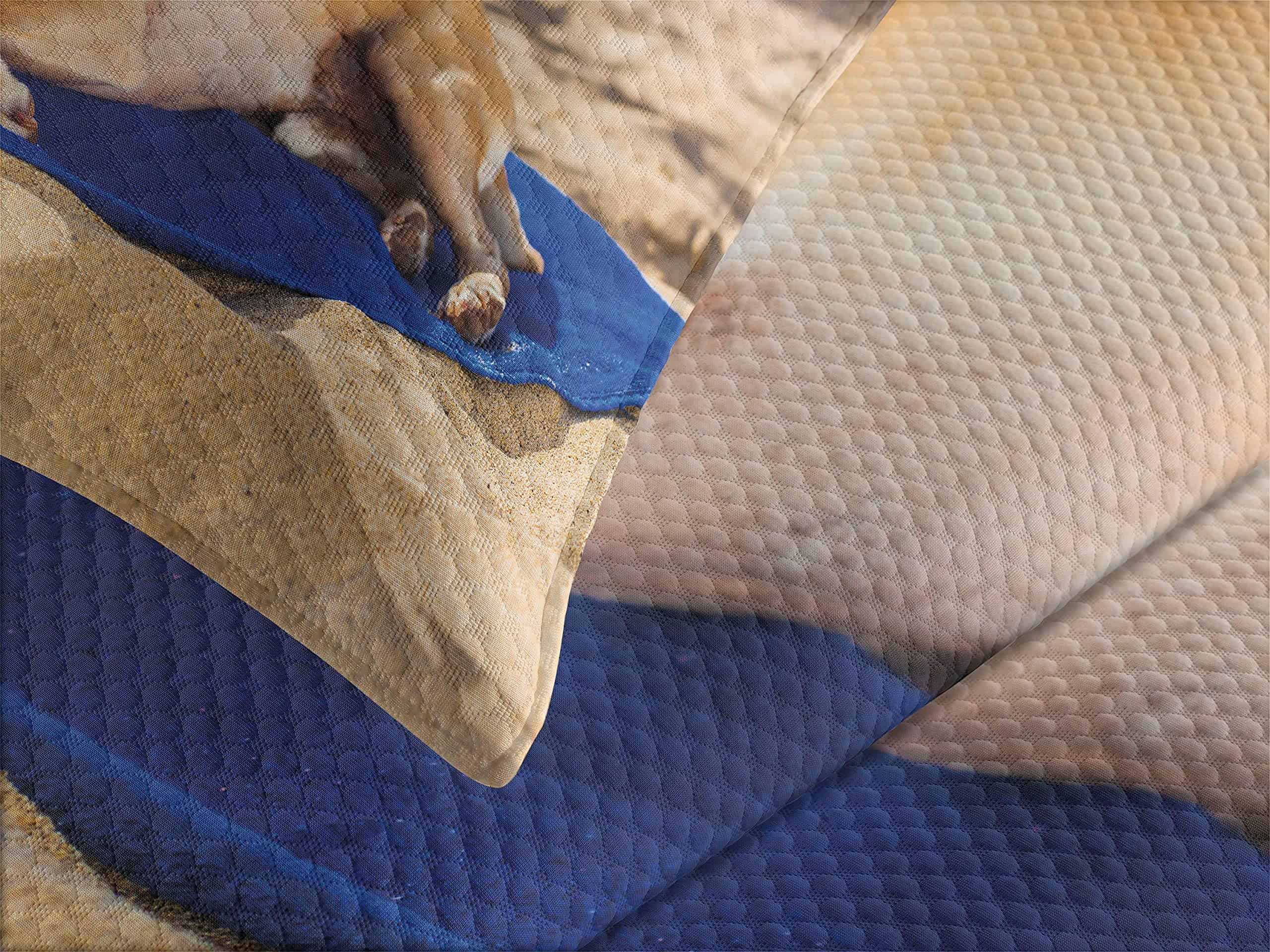 Colcha Decorativa Lunarable Divertida, Perro Chihuahua en - Imagen 4