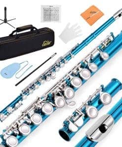 Flauta C Eastar de 16 llaves con agujeros cerrados para