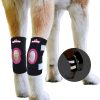 NeoAlly - Férula de pierna trasera corta para perros,