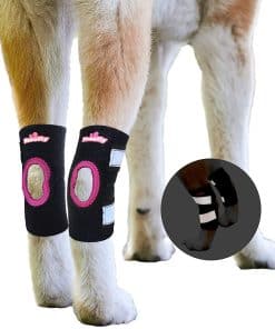 NeoAlly - Férula de pierna trasera corta para perros,