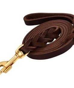 Correa para Perros de Cuero Genuino Trenzado Fuerte y Suave