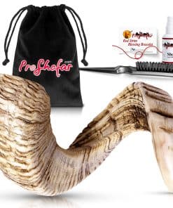 Conjunto de Shofar de Jericó Natural de Israel - Natural -