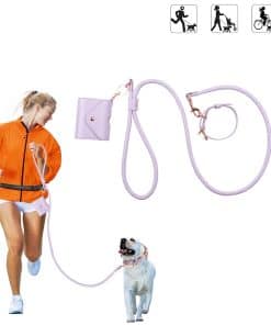 Correa de Cuero para Perros de 5 pies para Perros Pequeños,