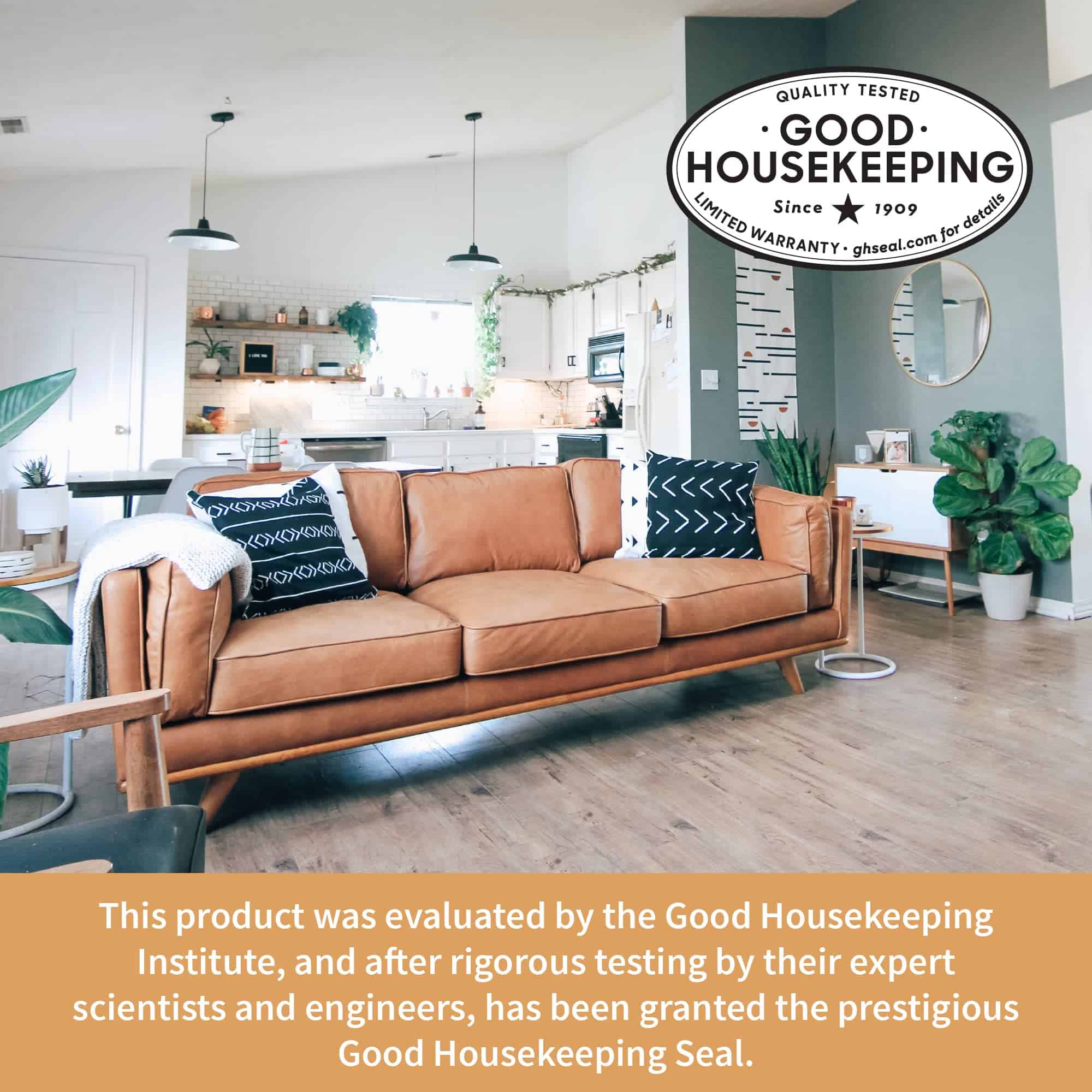 Kit Completo de Restauración de Cuero de -Crema - Imagen 7