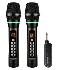 Sistema de Micrófono Inalámbrico Recargable de Mano con