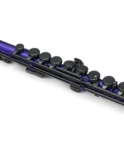 Flauta Estudiantil Nuvo - Negro/Azul