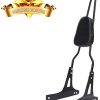 Respaldo Desmontable + Portaequipajes para Harley Dyna