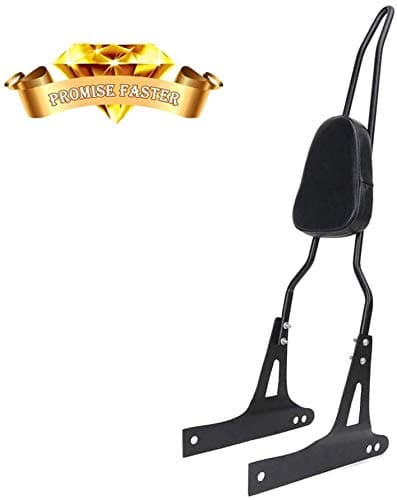 Respaldo Desmontable + Portaequipajes para Harley Dyna