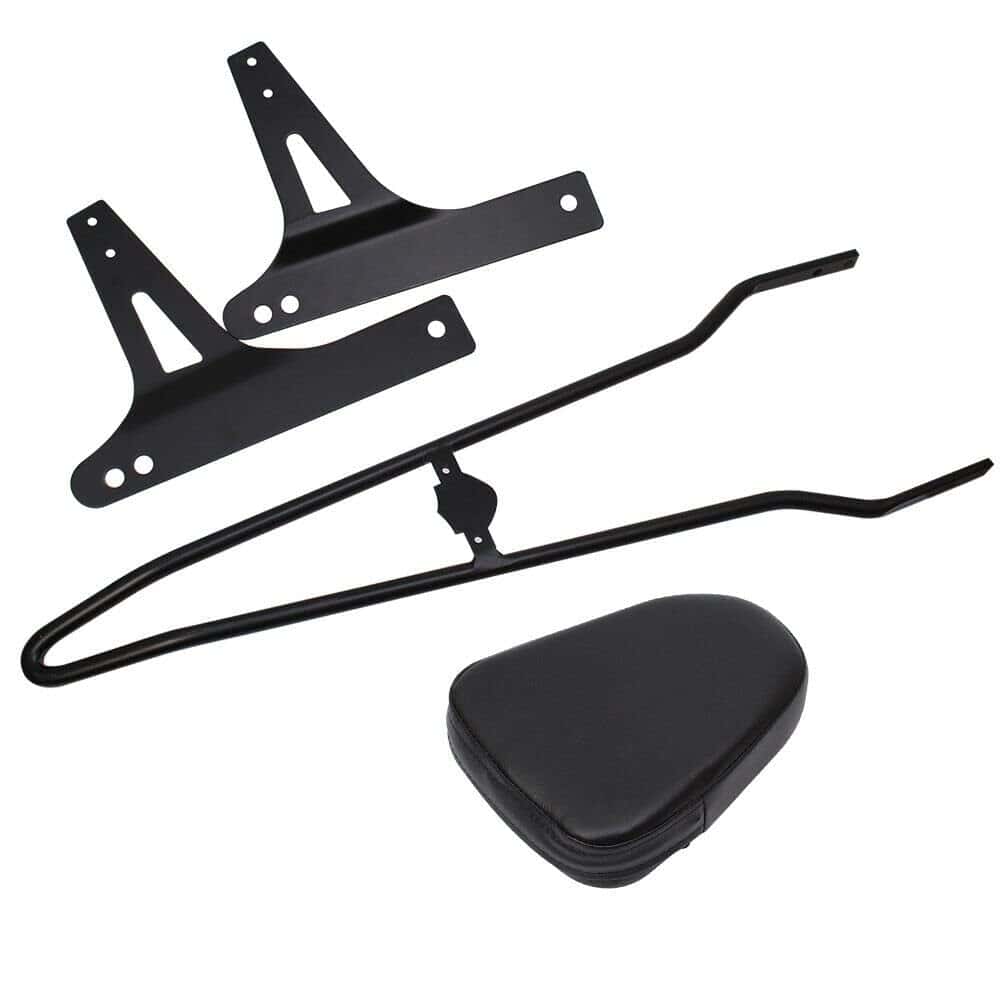 Respaldo Desmontable + Portaequipajes para Harley Dyna - Imagen 5