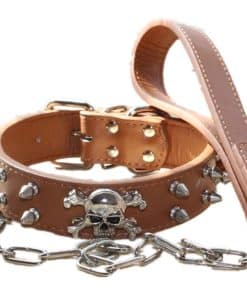Conjunto de Collar y Correa de Cuero con Pinchos y