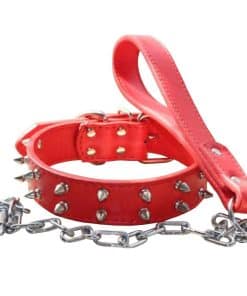 Conjunto de Collar para Perro de Cuero con Tachuelas y
