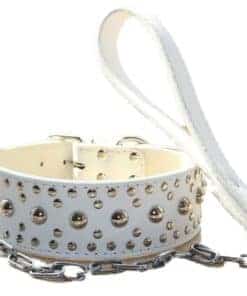 Conjunto de Collar de Perro de Cuero Tachonado de 2" de