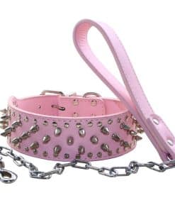 Collar de Perro con Tachuelas Punk con Hebilla de Acero y