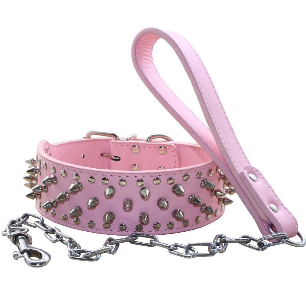 Collar de perro con tachuelas Punk Spiked Rivet con hebilla