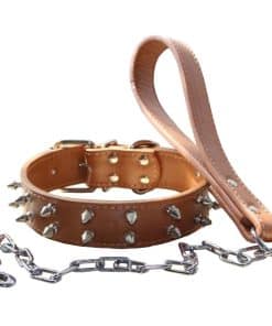 Conjunto de Collar y Correa de Cuero con Clavos y Púas para