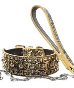 Conjunto de Collar de Cadena y Correa de Cuero Estampado